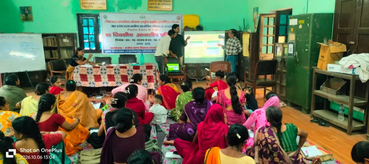 दीनदयाल अंतोदय योजना राष्ट्रीय ग्रामीण आजीविका मिशन एनआरएलएमसी जसवंत नगर ब्लॉक से भरथना ब्लॉक से दीदी पशु सखी